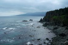 Сахалин. От мыса Птичьего до мыса Великан.