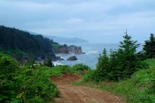 Альбом отзыва "Сахалин. От мыса Птичьего до мыса Великан."