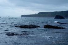 Сахалин. От мыса Птичьего до мыса Великан.
