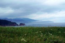 Альбом отзыва "Сахалин. От мыса Птичьего до мыса Великан."