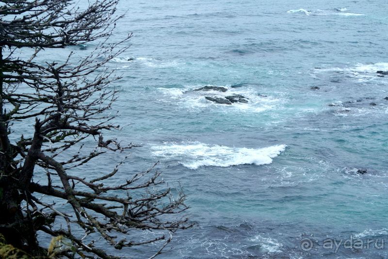 Сахалин. От мыса Птичьего до мыса Великан.