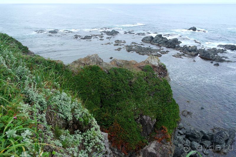 Сахалин. От мыса Птичьего до мыса Великан.
