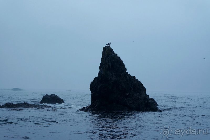 Сахалин. От мыса Птичьего до мыса Великан.