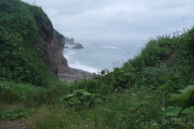 Сахалин. От мыса Птичьего до мыса Великан.