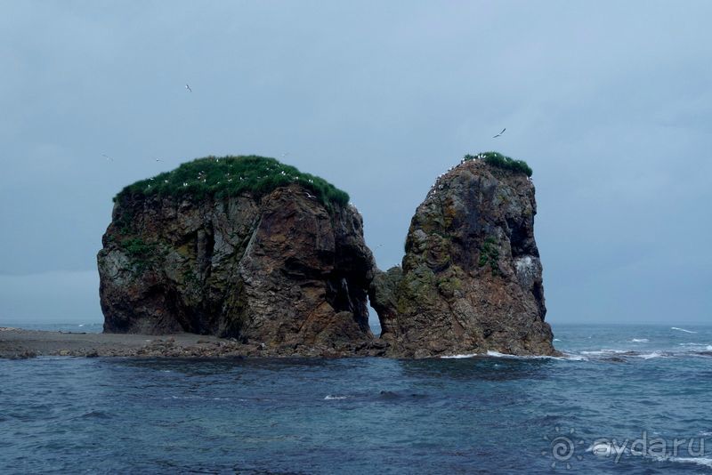 Сахалин. От мыса Птичьего до мыса Великан.