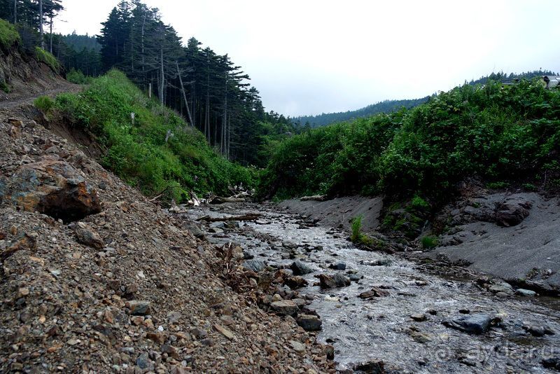 Сахалин. От мыса Птичьего до мыса Великан.