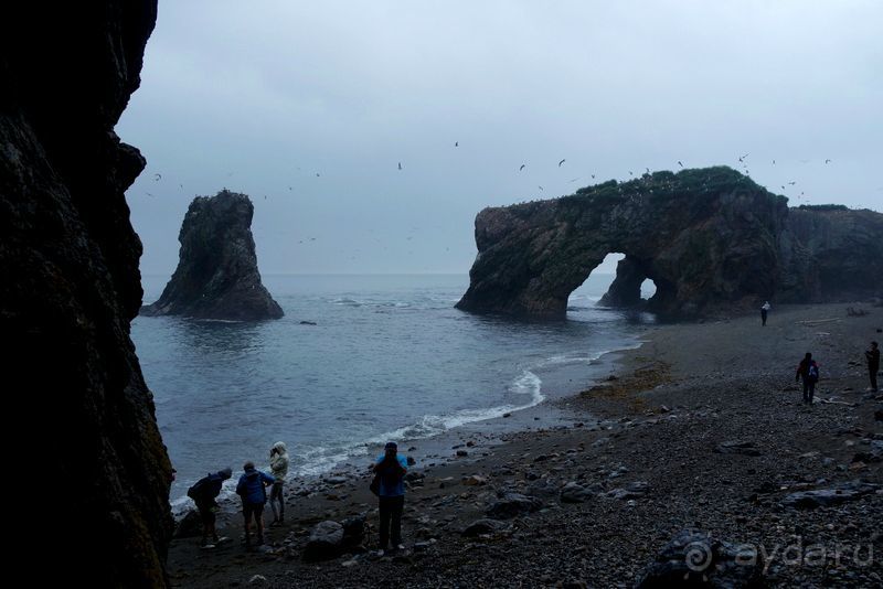Сахалин. От мыса Птичьего до мыса Великан.