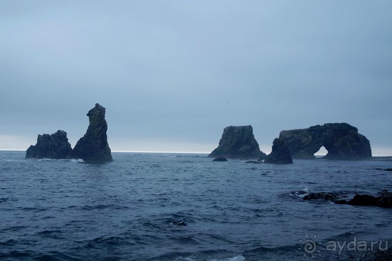 Сахалин. От мыса Птичьего до мыса Великан.