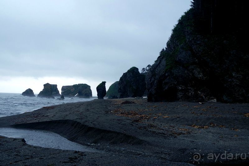 Сахалин. От мыса Птичьего до мыса Великан.