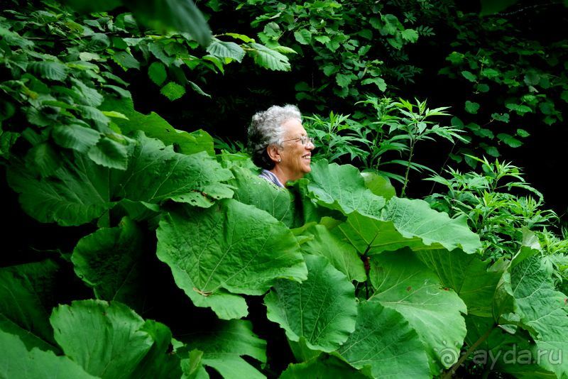 Сахалин. От мыса Птичьего до мыса Великан.