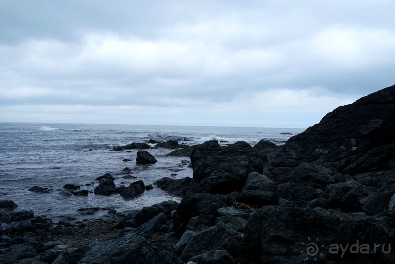 Сахалин. От мыса Птичьего до мыса Великан.