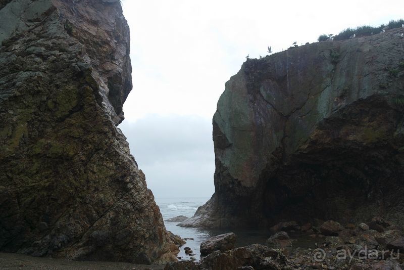 Сахалин. От мыса Птичьего до мыса Великан.