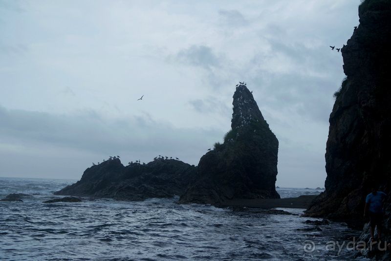 Сахалин. От мыса Птичьего до мыса Великан.