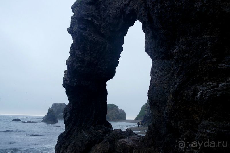 Сахалин. От мыса Птичьего до мыса Великан.