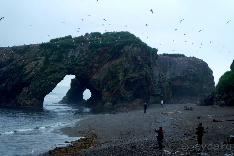 Сахалин. От мыса Птичьего до мыса Великан.