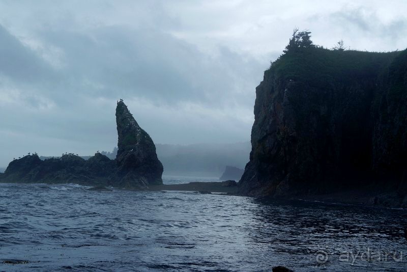 Сахалин. От мыса Птичьего до мыса Великан.