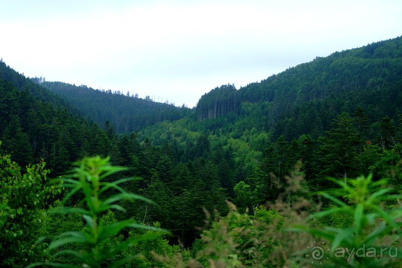 Сахалин. От мыса Птичьего до мыса Великан.