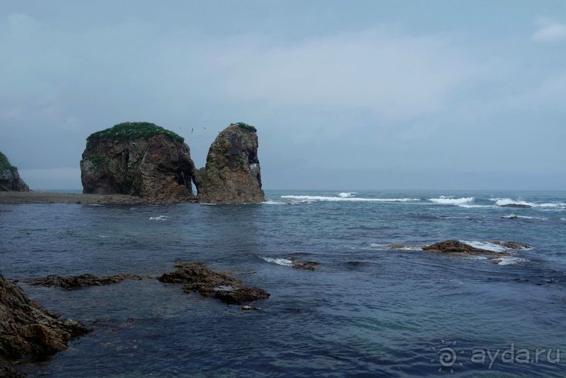 Сахалин. От мыса Птичьего до мыса Великан.