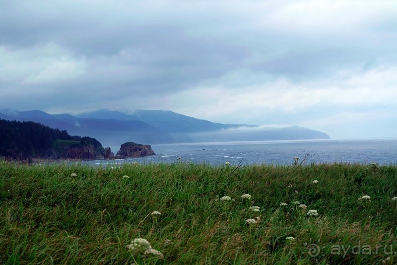 Сахалин. От мыса Птичьего до мыса Великан.