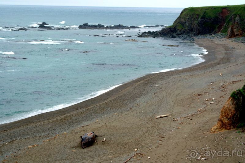 Сахалин. От мыса Птичьего до мыса Великан.