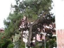 Тихое уютное местечко в горах