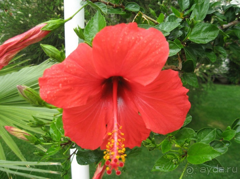 Тихое уютное местечко в горах