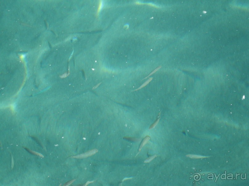 Тихое уютное местечко в горах