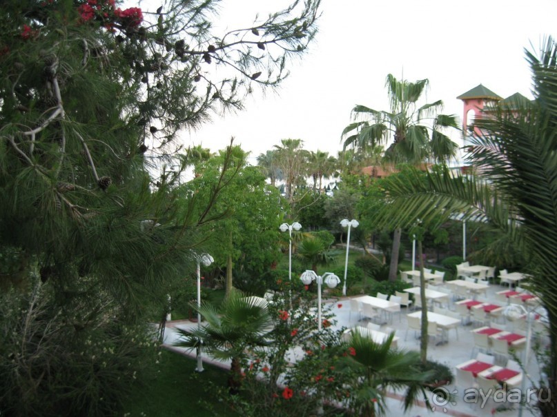 Тихое уютное местечко в горах