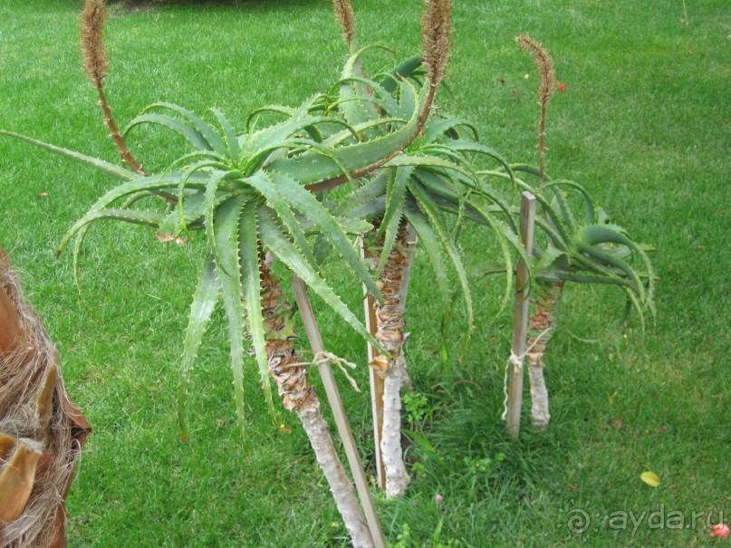 Тихое уютное местечко в горах