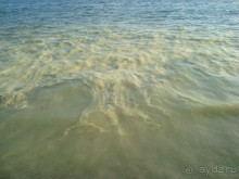 Отвратительный отель!