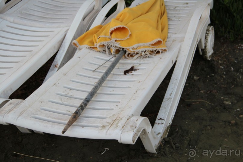 фото Palm Beach Hotel & Bungalows