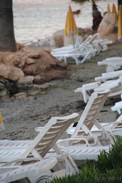 фото Palm Beach Hotel & Bungalows