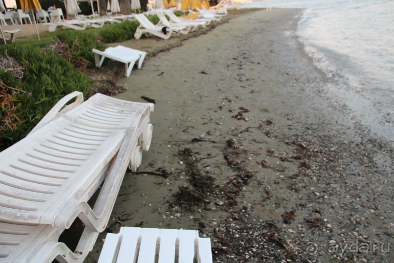 фото Palm Beach Hotel & Bungalows