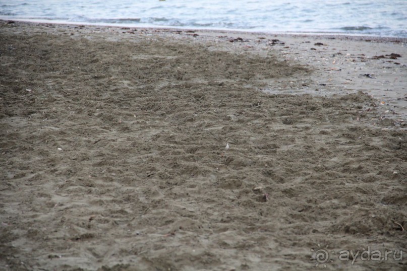 отель для стариков с плохим пляжем и морем