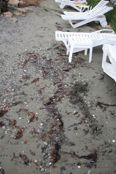 отель для стариков с плохим пляжем и морем