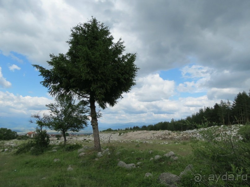 Самый спокойный отдых, о котором можно мечтать!