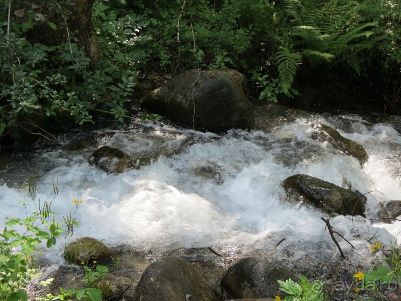 Самый спокойный отдых, о котором можно мечтать!