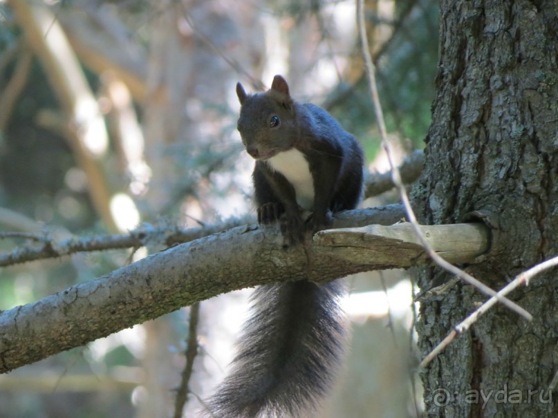 Самый спокойный отдых, о котором можно мечтать!