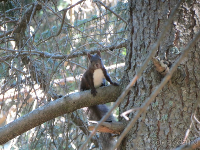 Самый спокойный отдых, о котором можно мечтать!