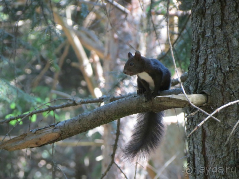 Самый спокойный отдых, о котором можно мечтать!