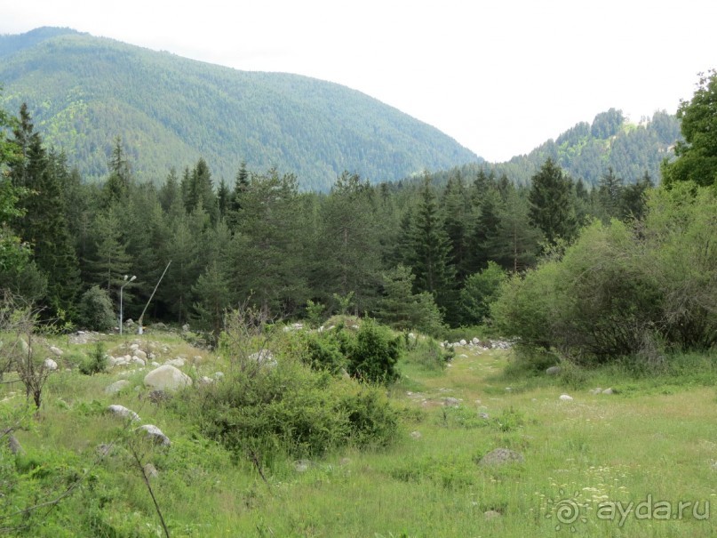 Самый спокойный отдых, о котором можно мечтать!