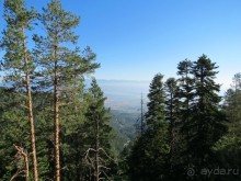 Горы. Сосны. Белки. И минус семь килограммов!