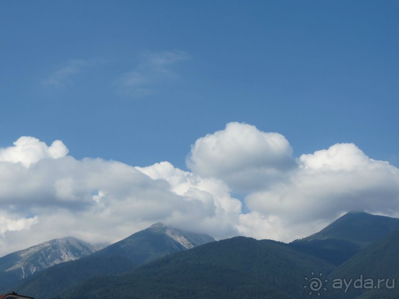 Горы. Сосны. Белки. И минус семь килограммов!