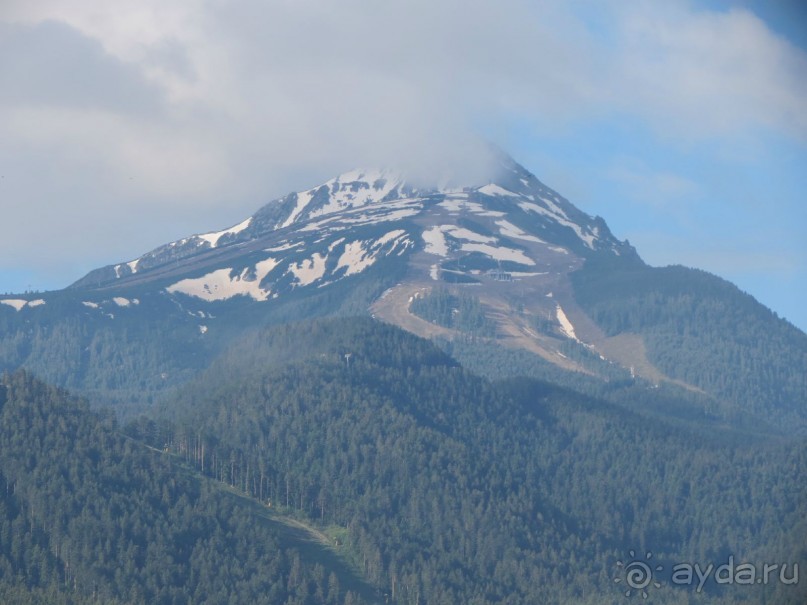 Горы. Сосны. Белки. И минус семь килограммов!