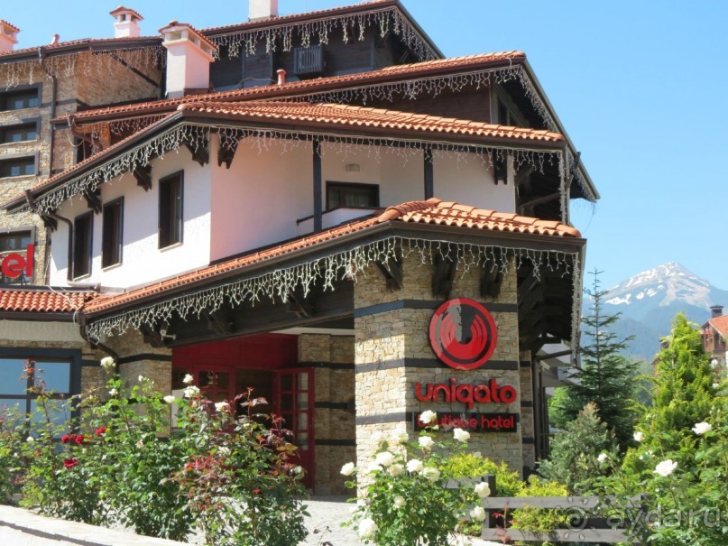 Горы. Сосны. Белки. И минус семь килограммов!