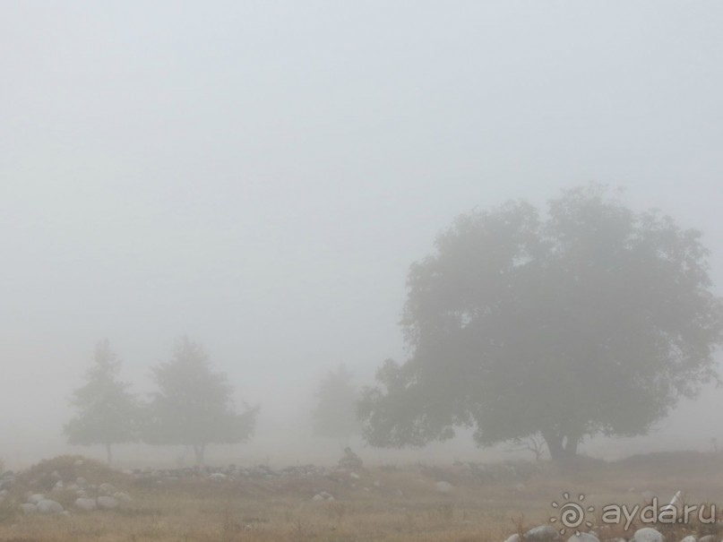 Горы. Сосны. Белки. И минус семь килограммов!