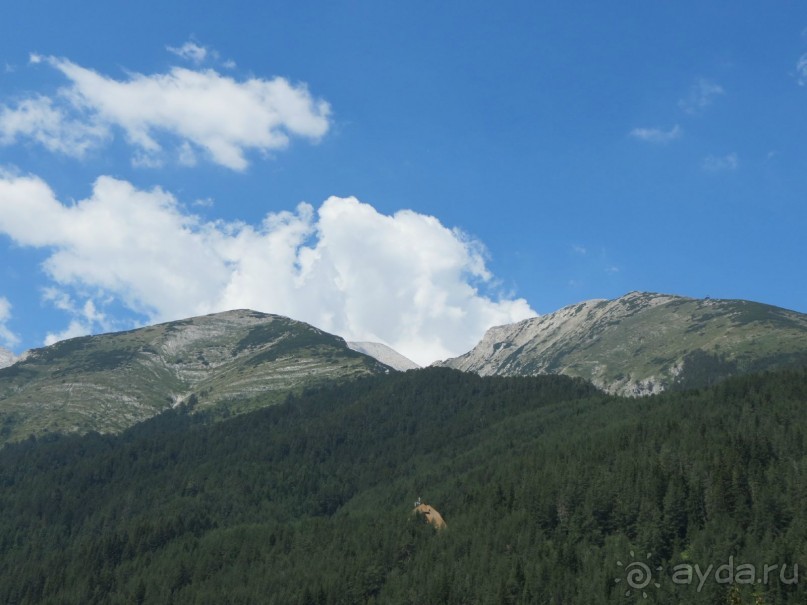 Горы. Сосны. Белки. И минус семь килограммов!