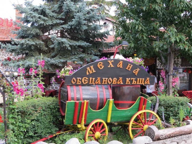 Горы. Сосны. Белки. И минус семь килограммов!