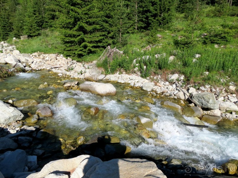 Горы. Сосны. Белки. И минус семь килограммов!