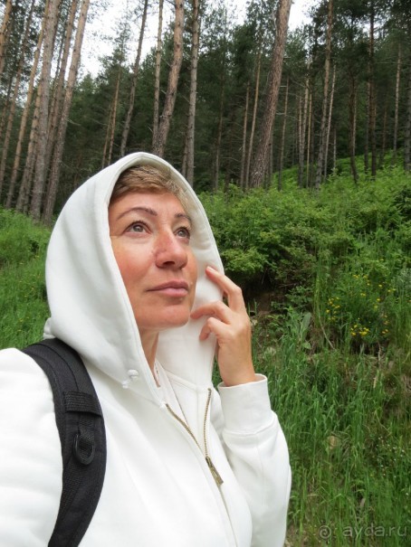 Горы. Сосны. Белки. И минус семь килограммов!